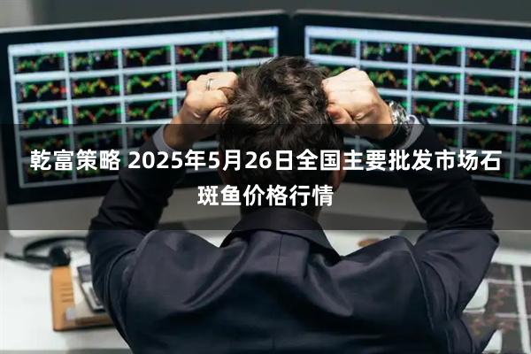 乾富策略 2025年5月26日全国主要批发市场石斑鱼价格行情