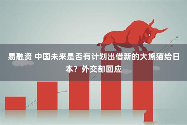 易融资 中国未来是否有计划出借新的大熊猫给日本？外交部回应