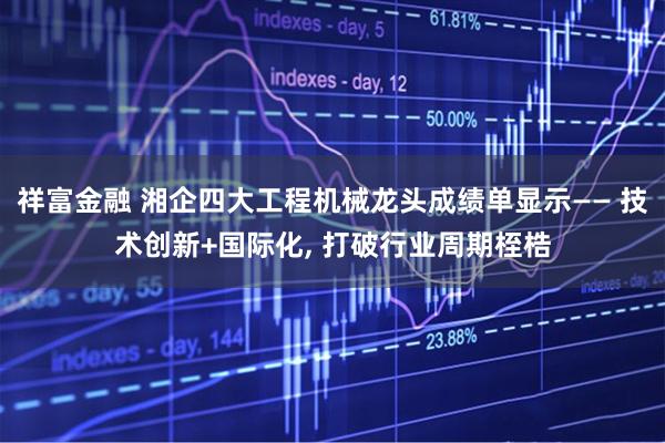 祥富金融 湘企四大工程机械龙头成绩单显示—— 技术创新+国际化, 打破行业周期桎梏