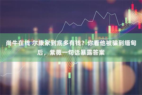 尚牛在线 尔康家到底多有钱？你看他被骗到缅甸后，紫薇一句话暴露答案